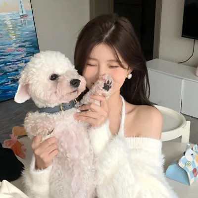 九霄龙吟传